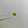 Tourmaline (TR102)