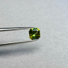 Tourmaline (TR102)
