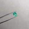 Tanzanian emerald (EM102)