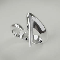 Unisex Silver Claw ring - Suinton High jewelry